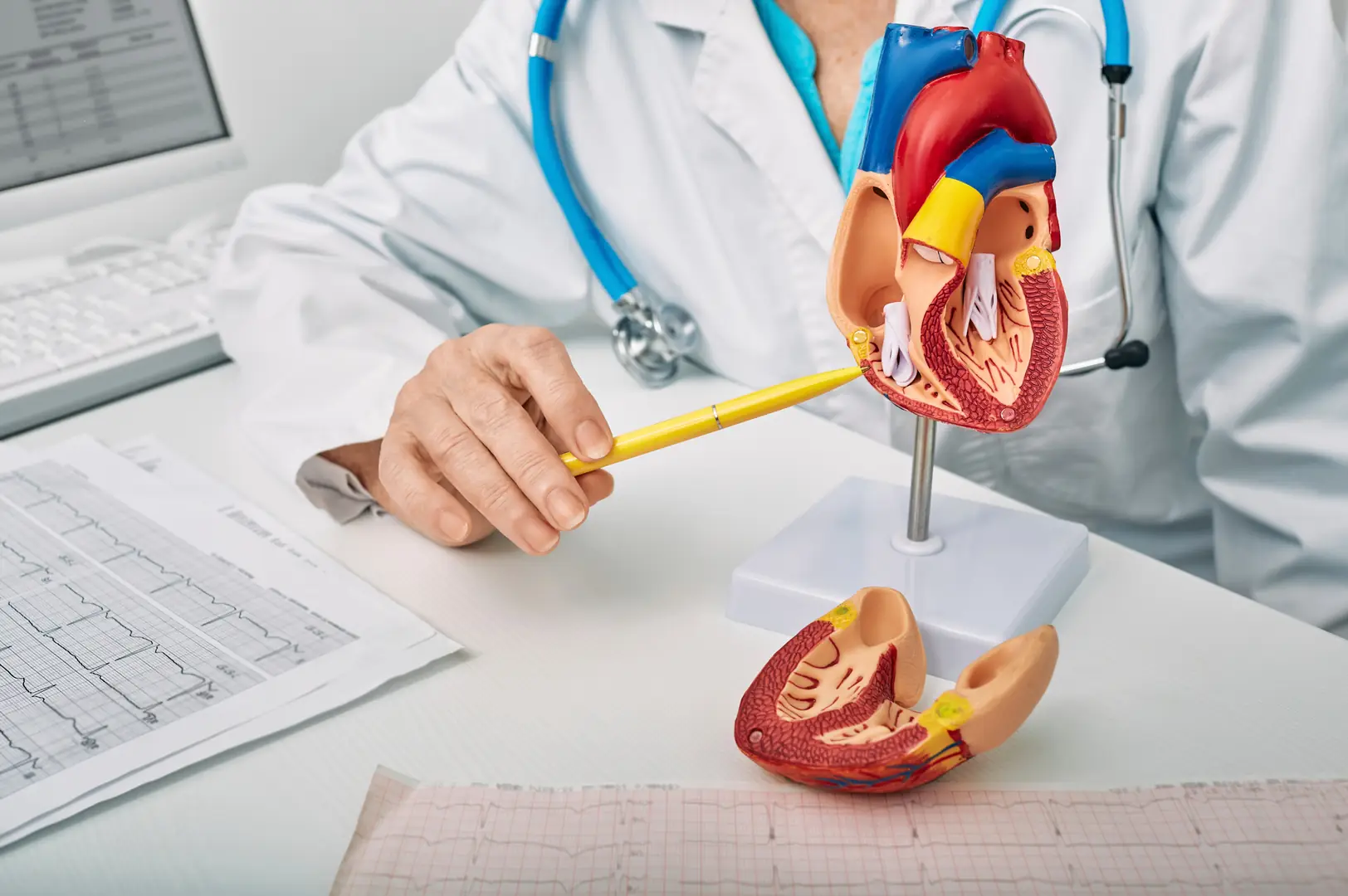A cardiology consulting room at Excelsia.